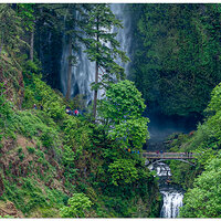 DJI_M3P_70_BurstMultnomah100.jpg