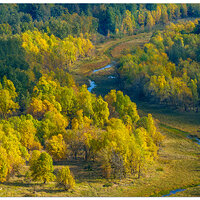 DJI_M3P_166_CRG-YoungCreek102023.jpg