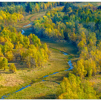 DJI_M3P_166P_CRG-YoungCreek102023.jpg