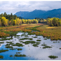 DJI_M3P_70_CRG-YoungLake102023.jpg
