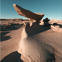 _B4C9583_ROCKWingsFB.jpg