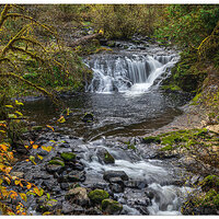 SC-UnnamedFalls110222-2.jpg