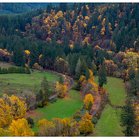 DJI_M3P_70_BigLeafMaples110523.jpg