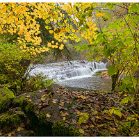 SC-UnnamedFalls110823-1.jpg