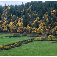 DJI_M3P_24_NForkSiuslaw110623-2.jpg