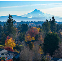 DJI_M3P_166_FallHood111423.jpg