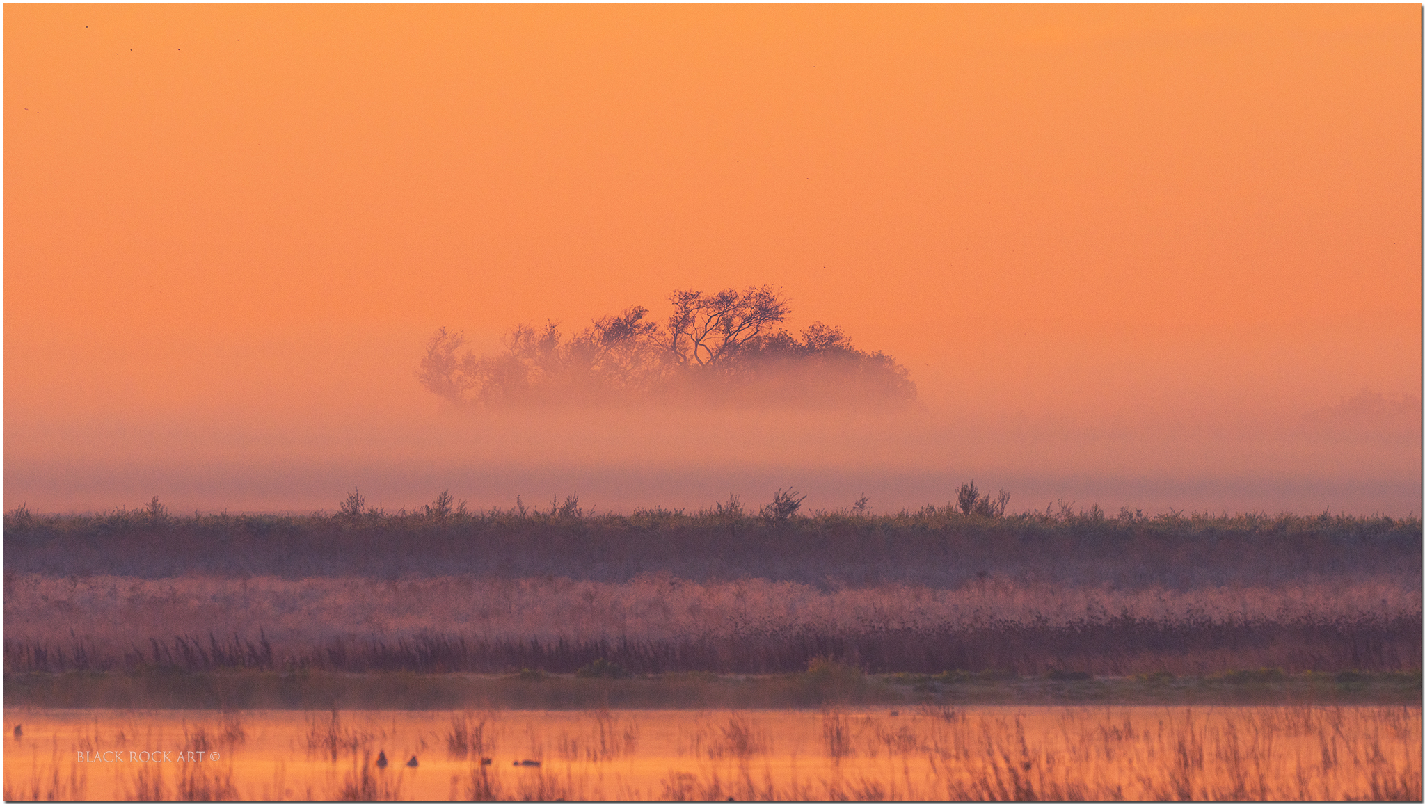 0002_OZA6858FoggyMorningFB.jpg