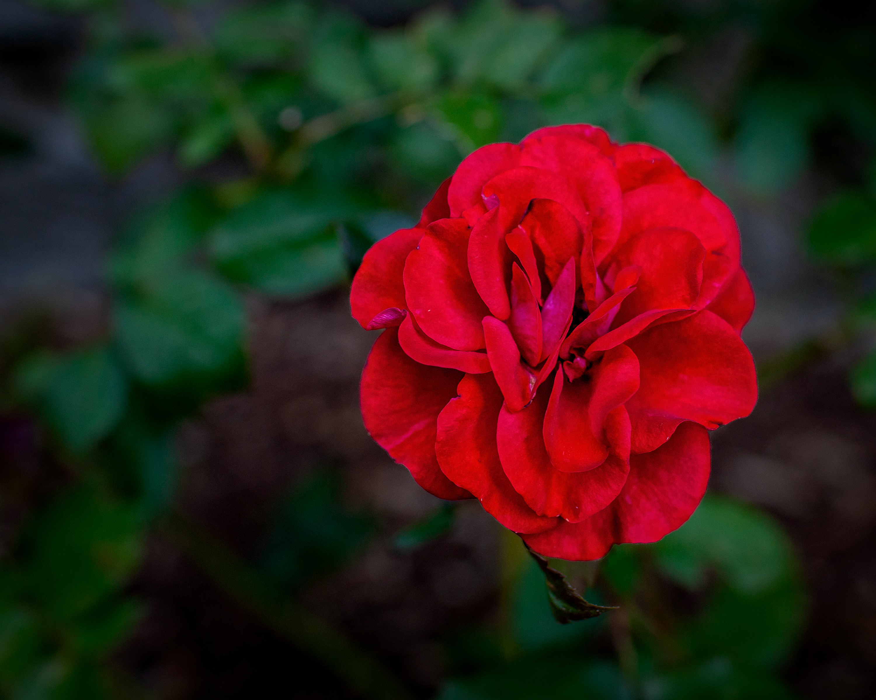 080708_mk3_6641.jpg