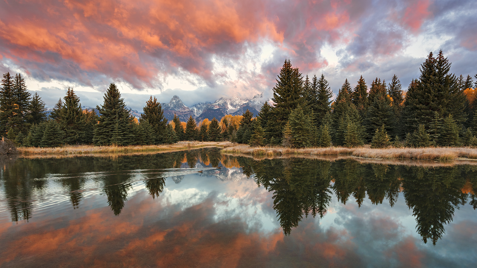 081007_mk3_3381 2-3-2017 No Sh Bw Sharp V