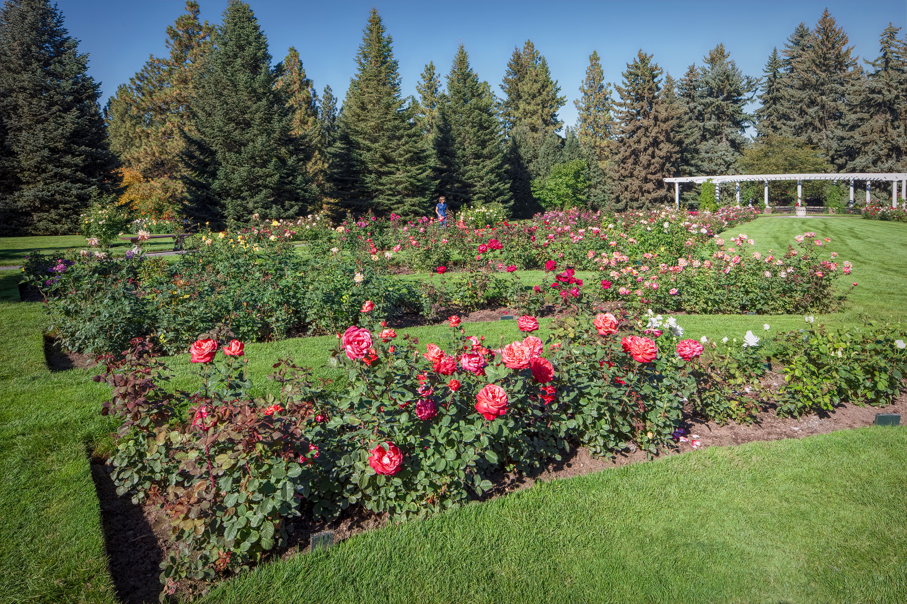 100929_mk3_1629.jpg