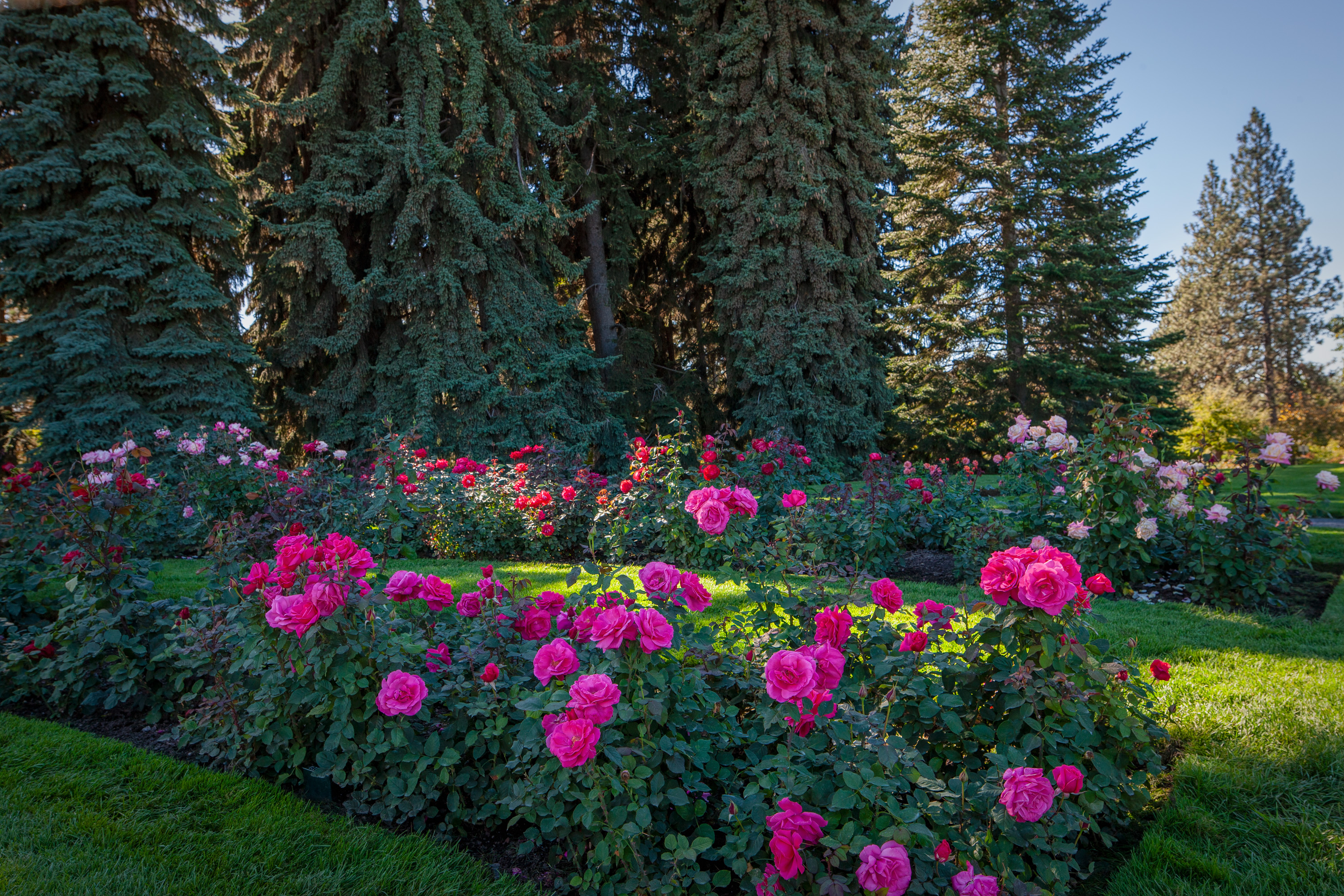100929_mk3_1630.jpg