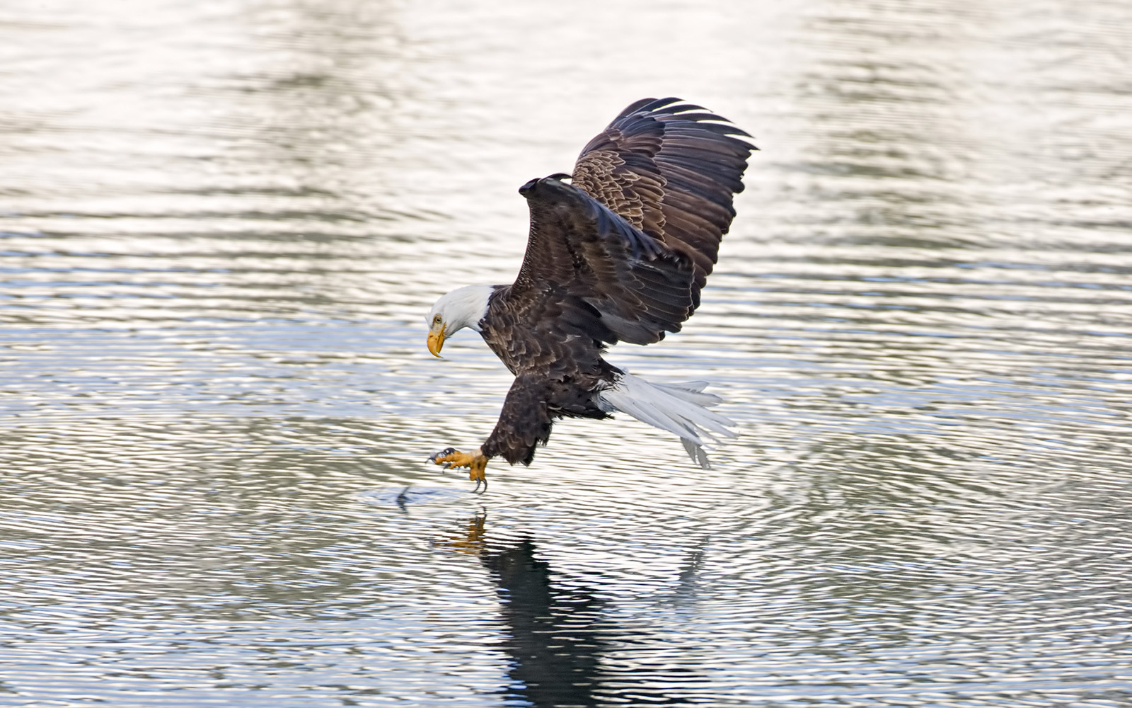 101231_mk3_3093h Copy