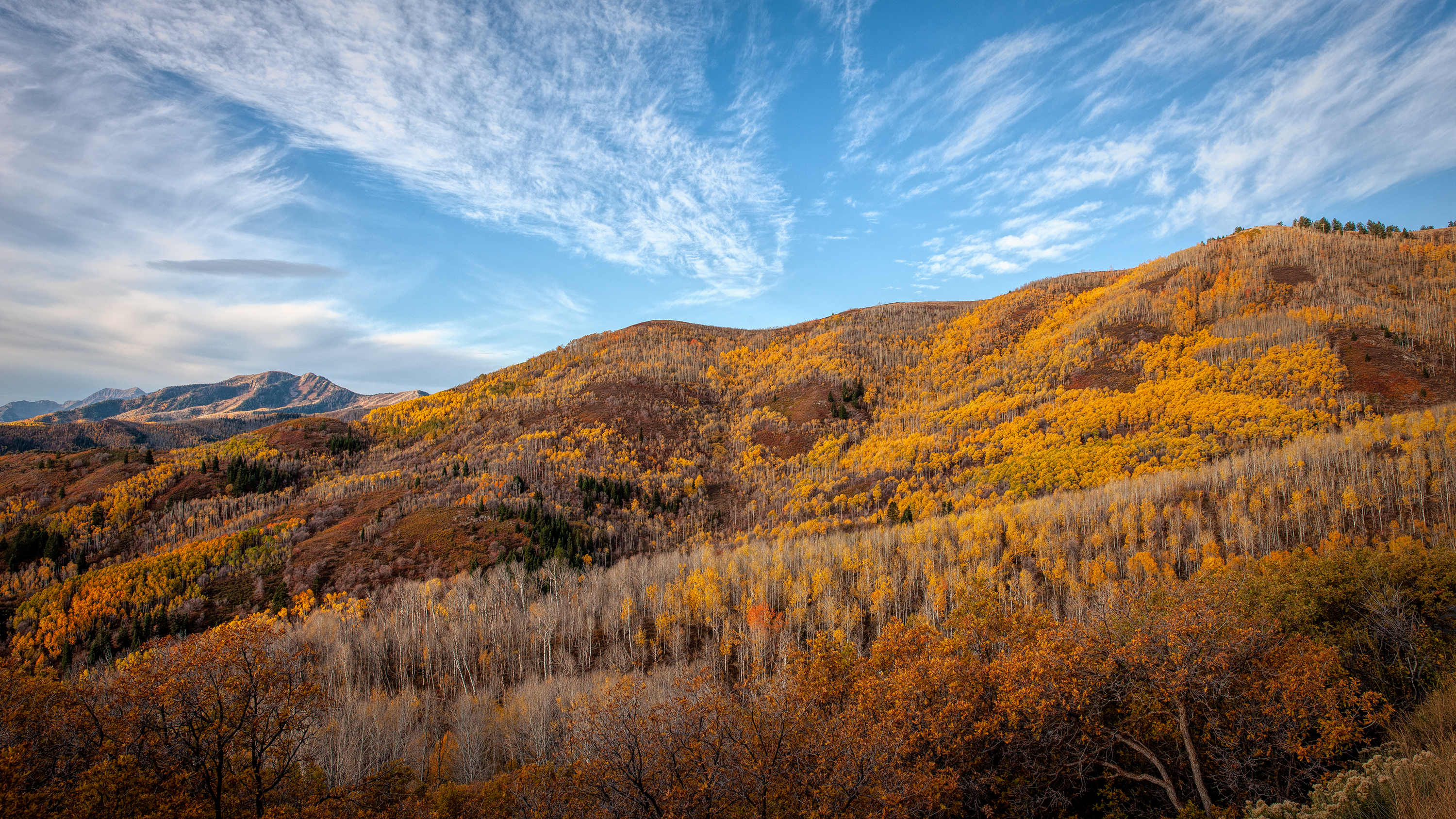 121011-0024-mk3.jpg
