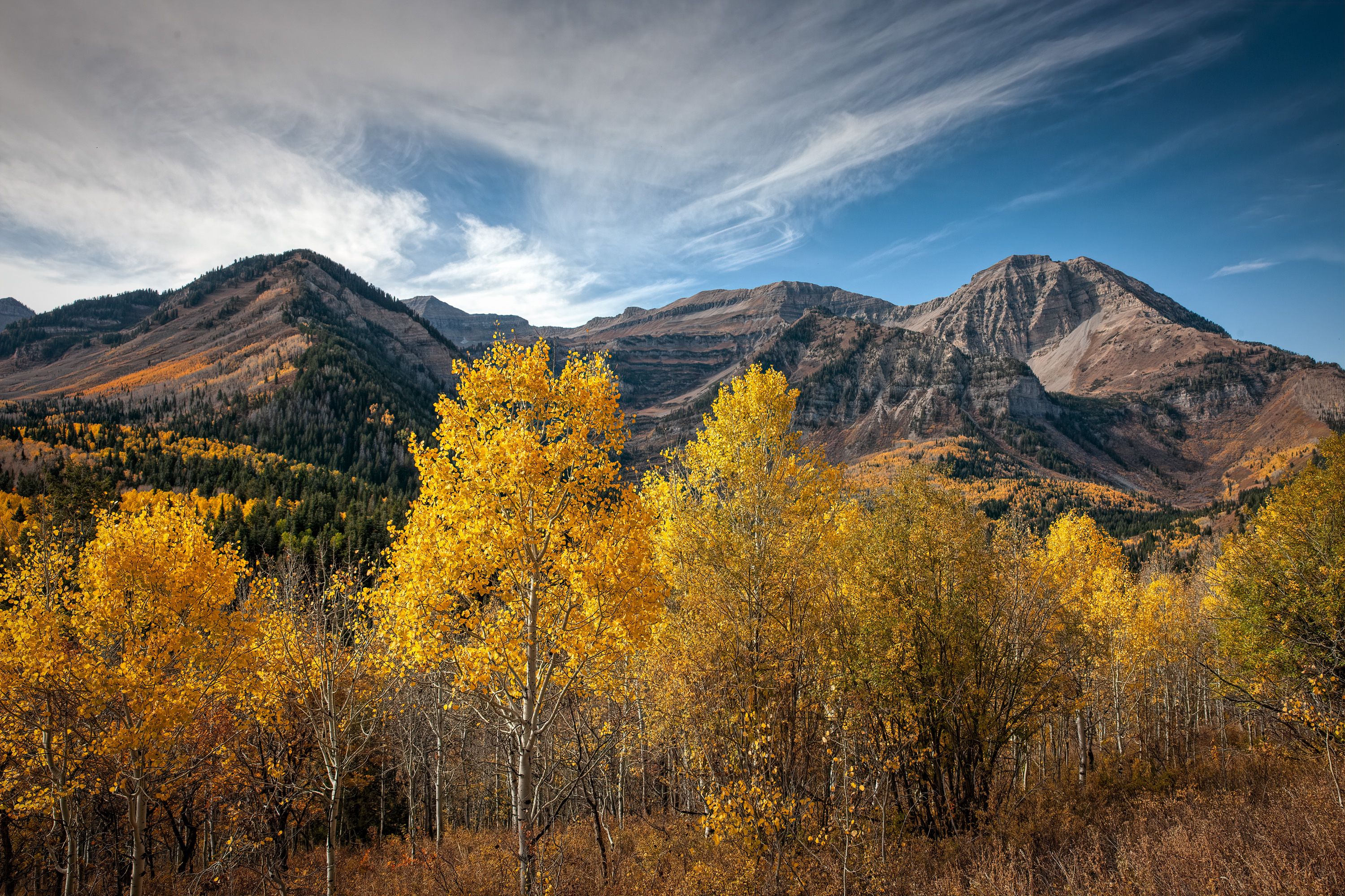 121011-0117-mk3.jpg