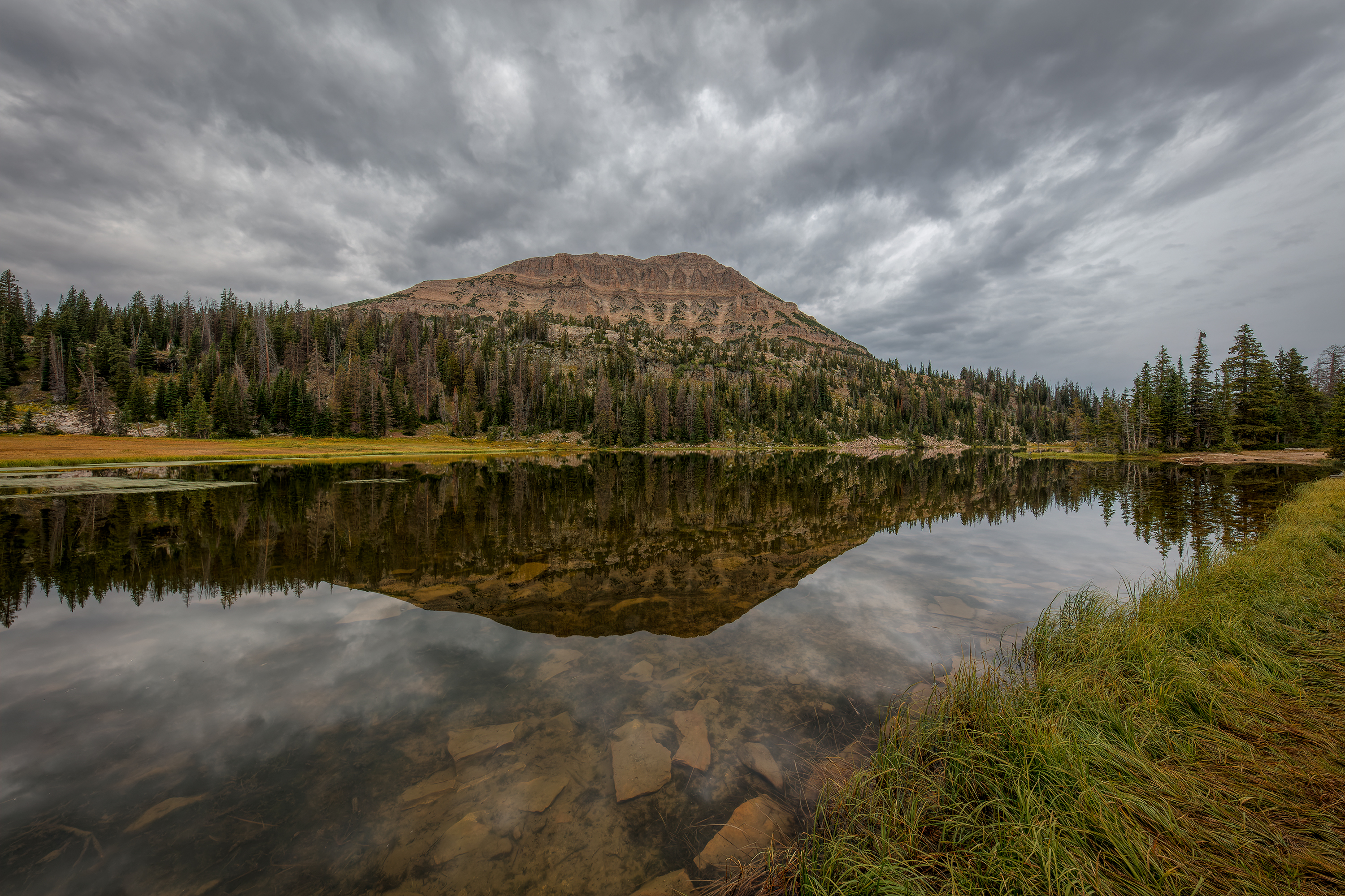 150826-1548-5DS- R-CR2_DxO_DeepPRIME.jpg