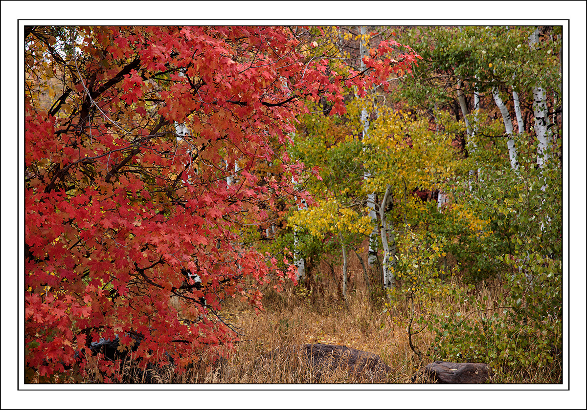 181008-9251-5DS R