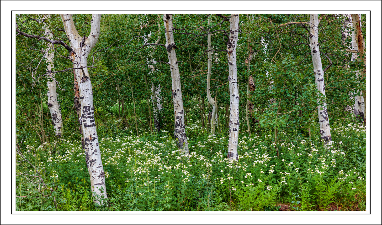 190713-10767-5DS R