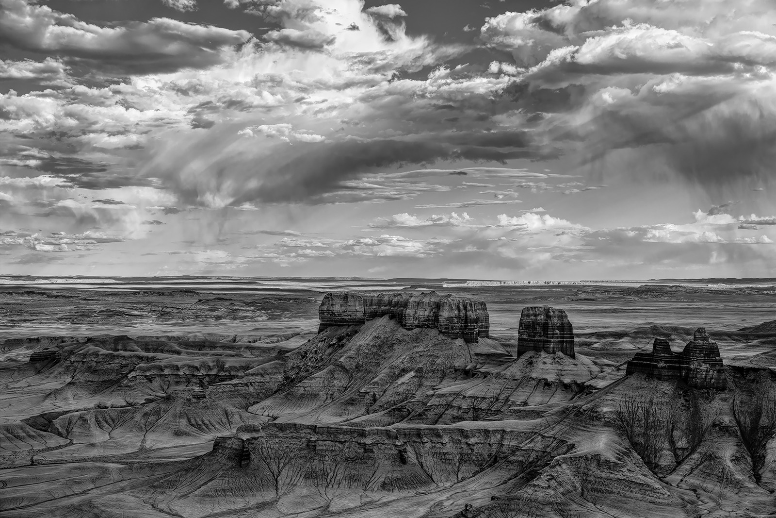 200529-13191-5DS R B&W A.jpg