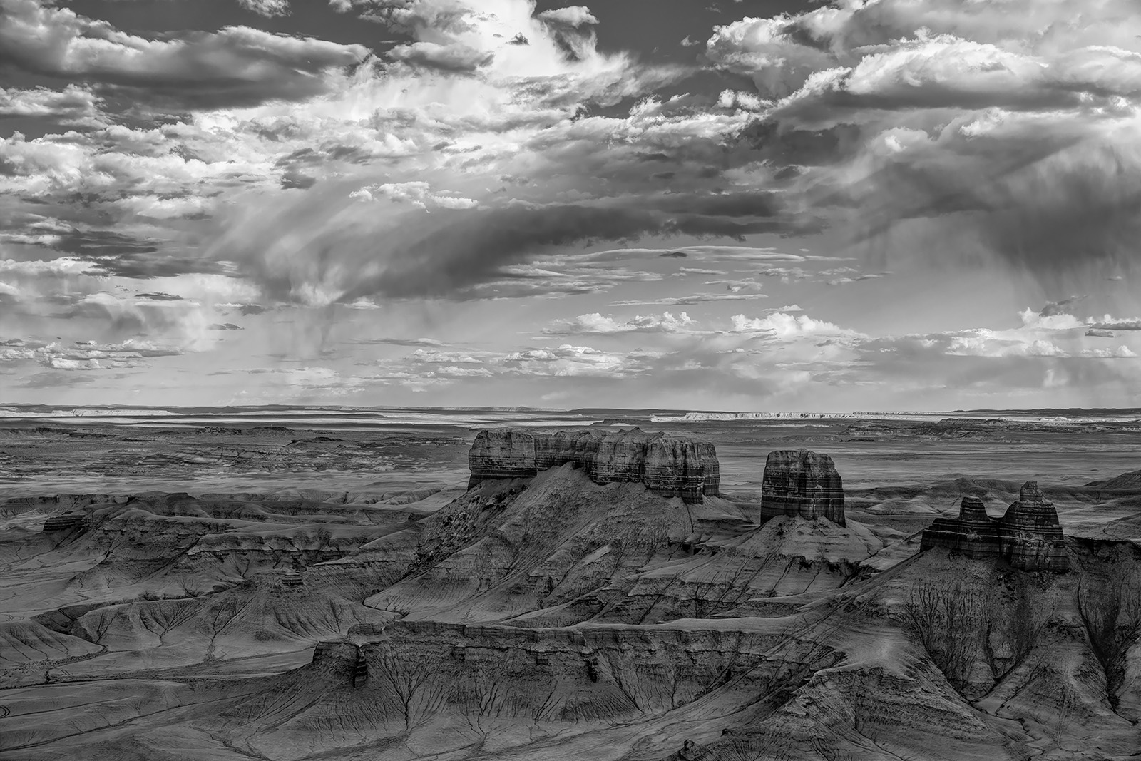 200529-13191-5DS R B&W.jpg