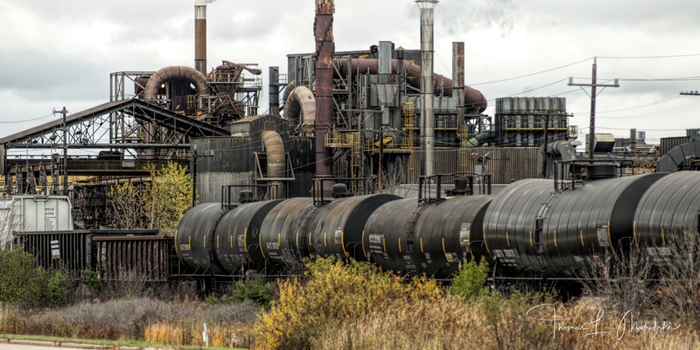 20131106-18911D7K_4084  T6a  Sig  1000