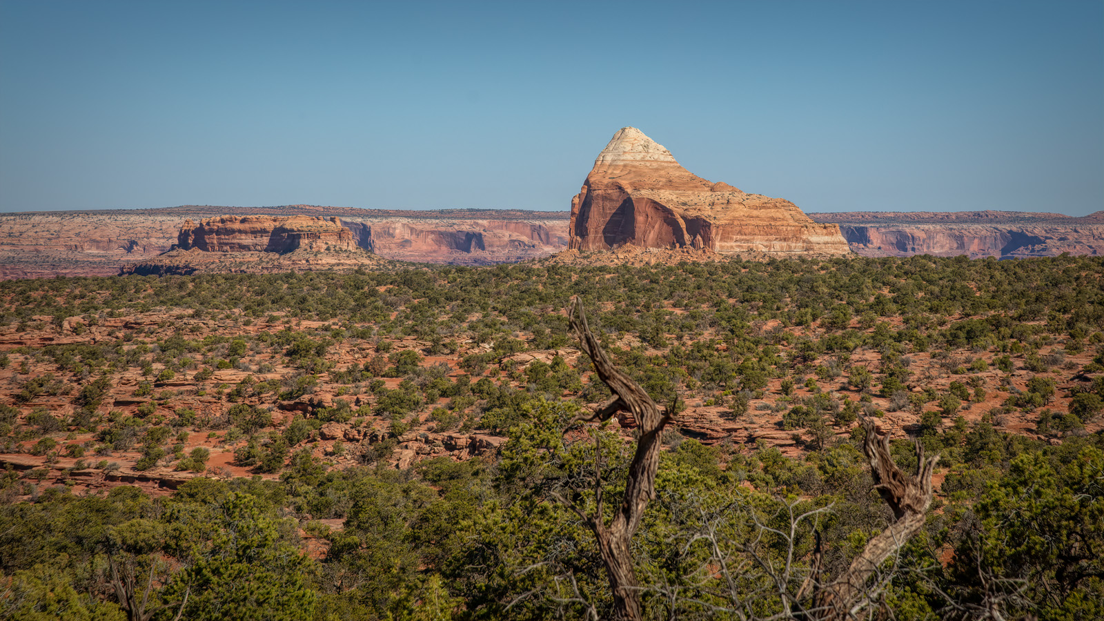 210412-22783-5DS R.jpg