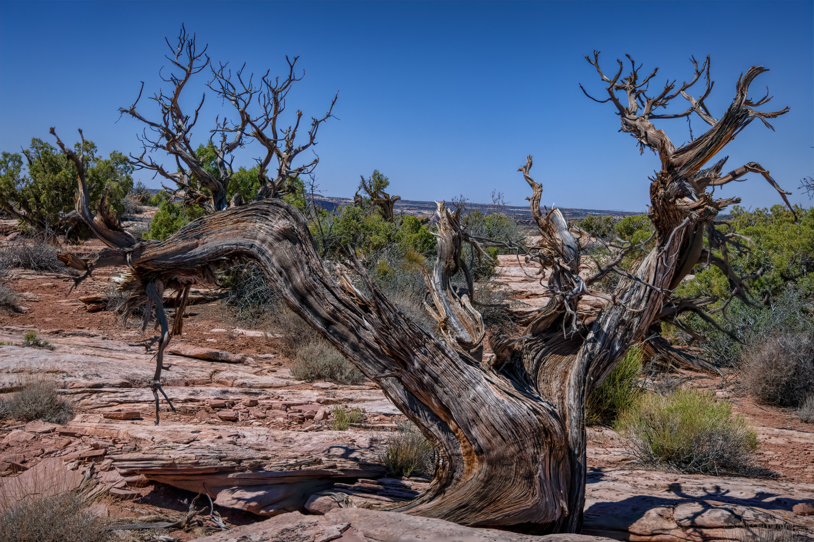 210506-24507-R5 stacked.jpg