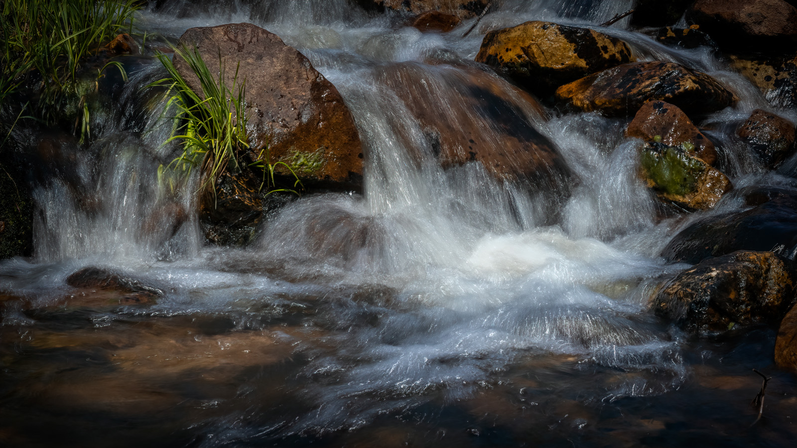210615-25288-R5.jpg