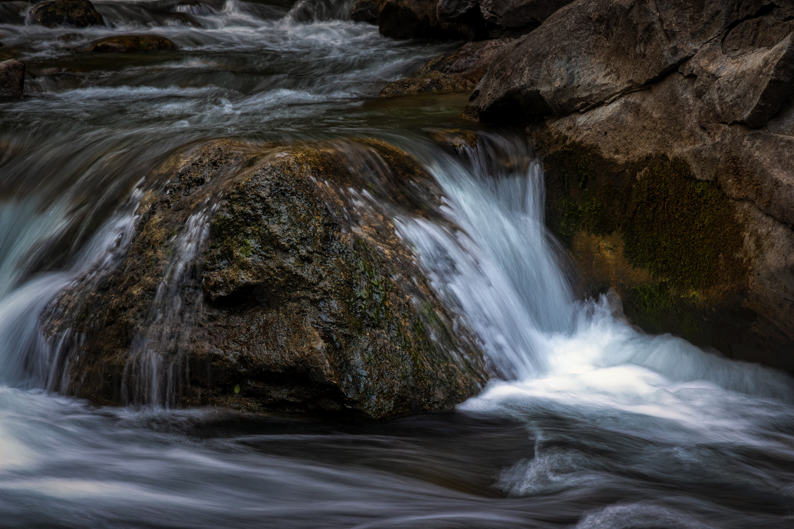 210710-25469-R5.jpg
