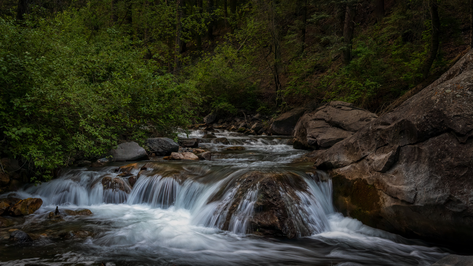 210710-25478-R5.jpg