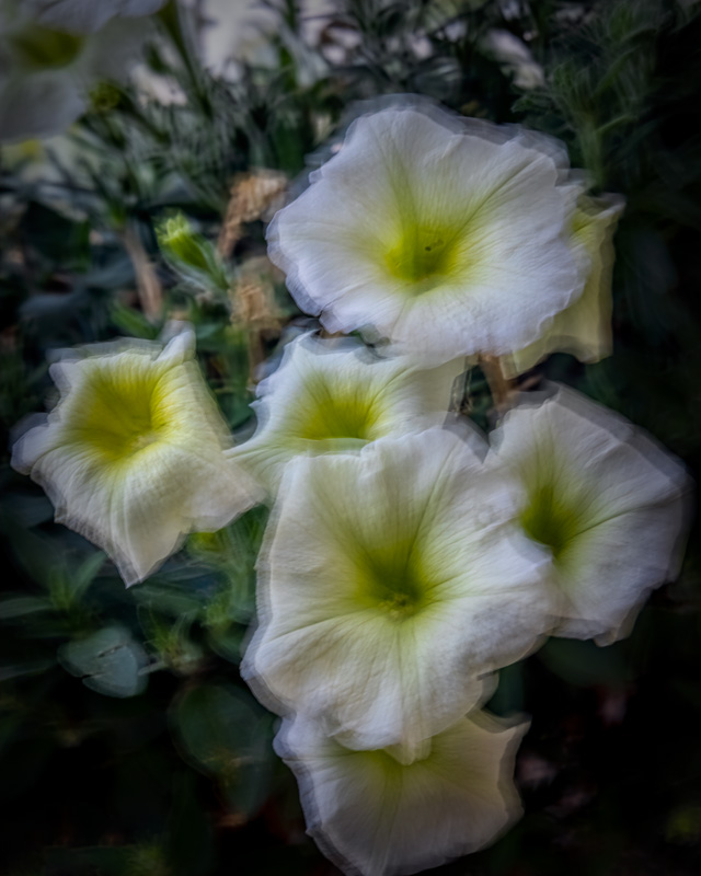 210903-25917-R5.jpg