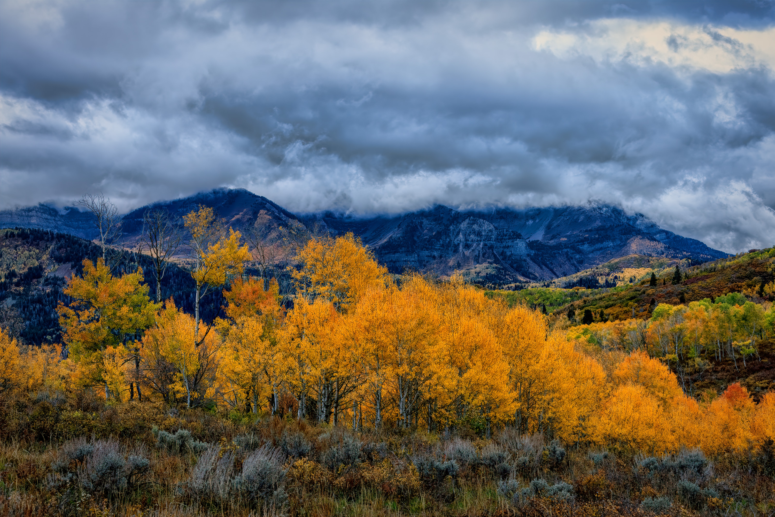 211006-27030-R5 a.jpg