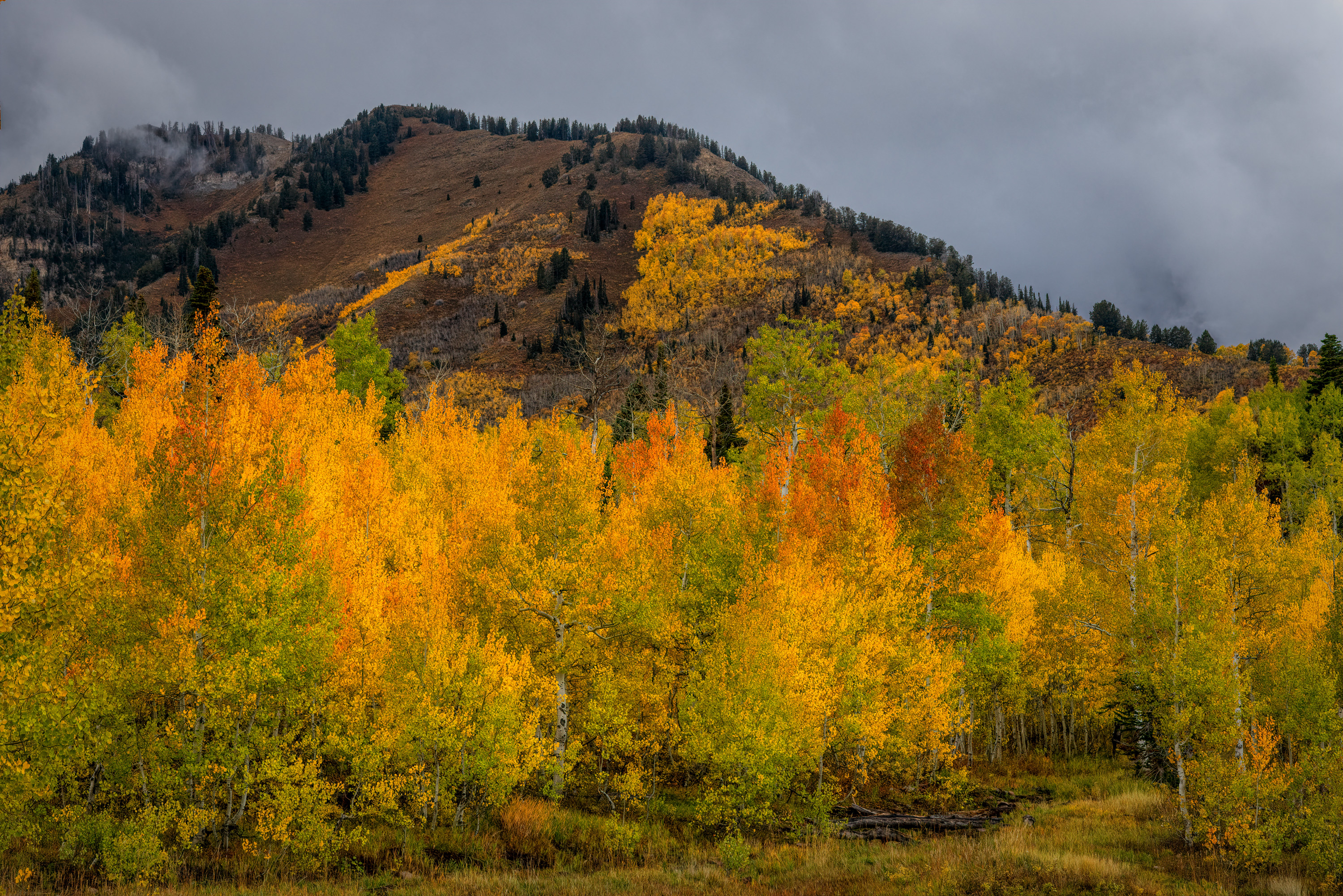 211006-27038-R5.jpg