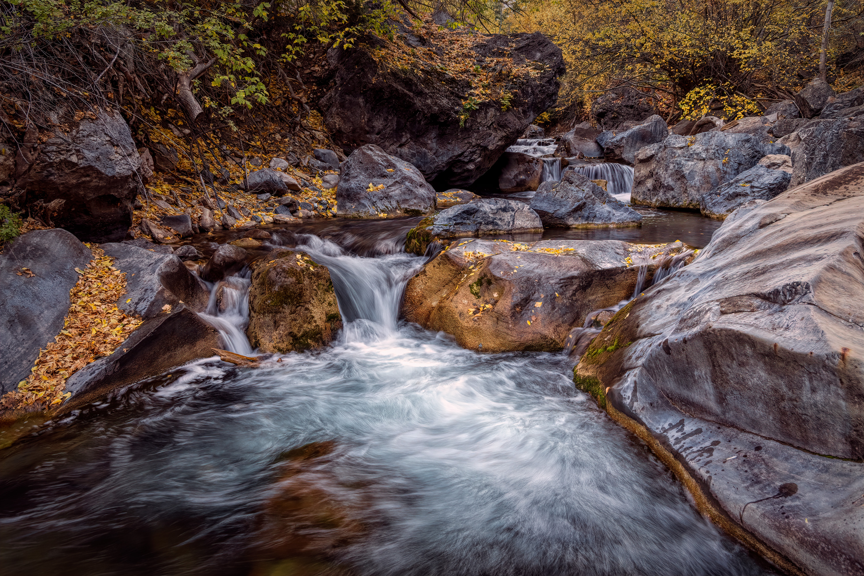 211015-27145-R5.jpg