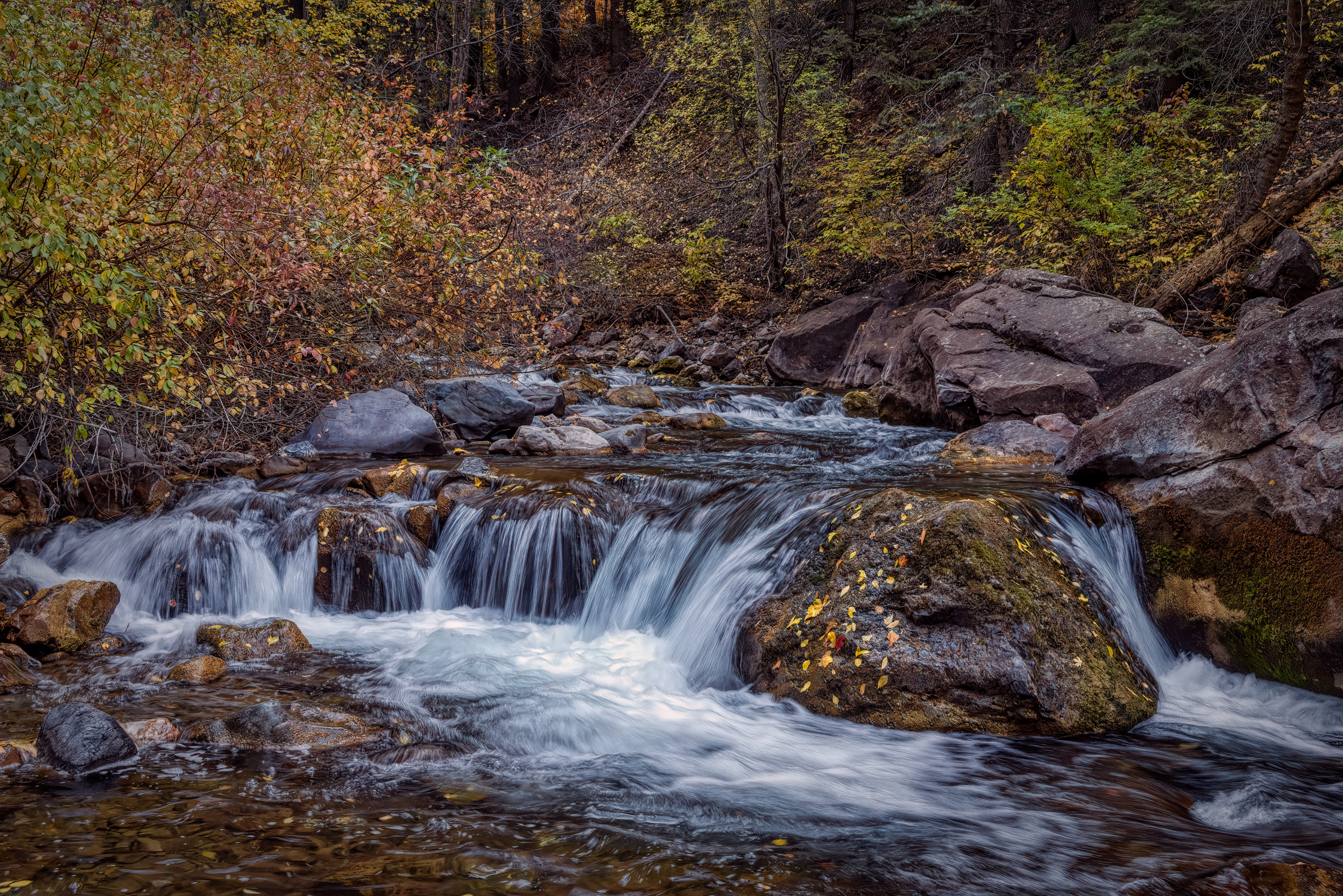 211015-27153-R5.jpg