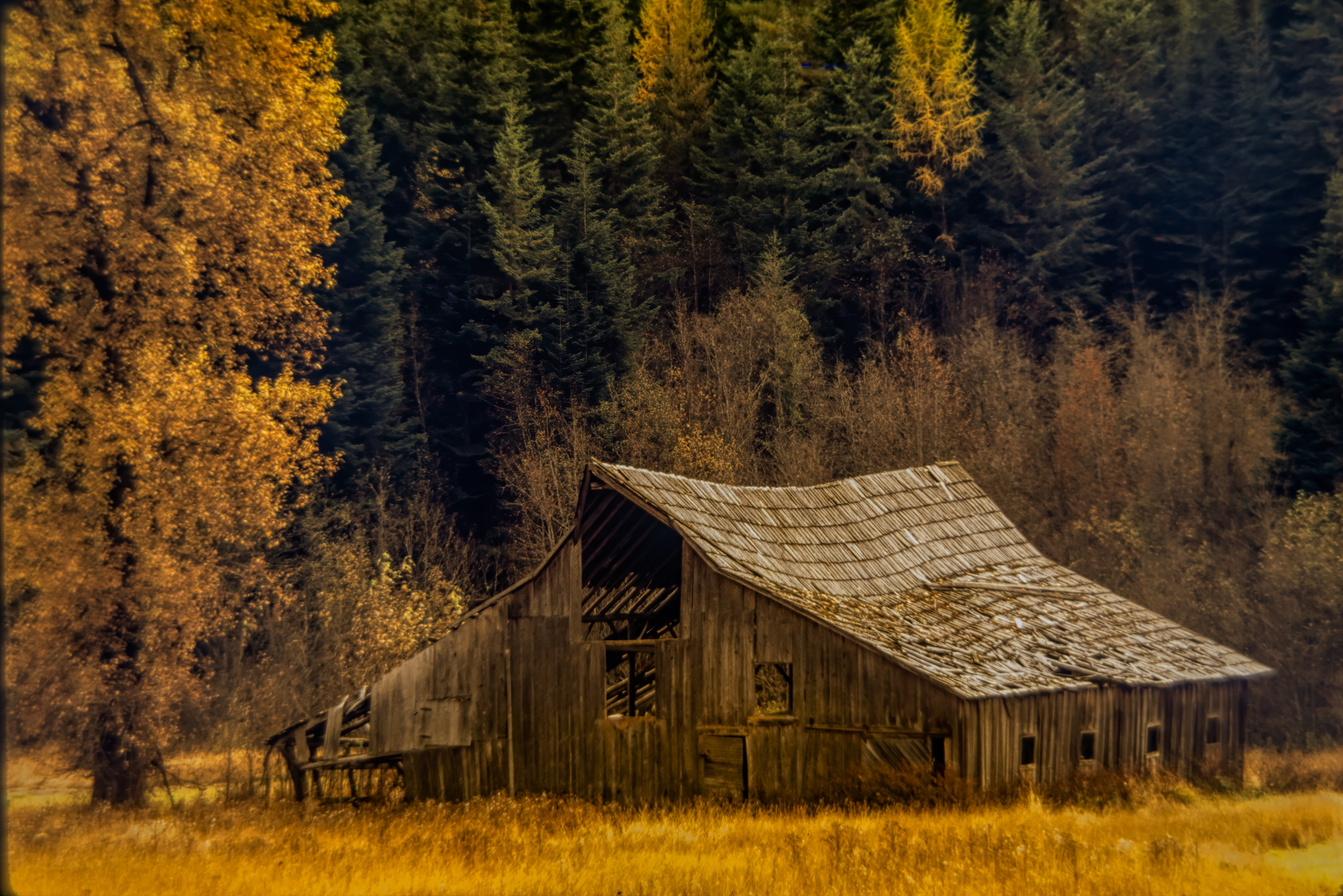 220112-27350-R5.jpg
