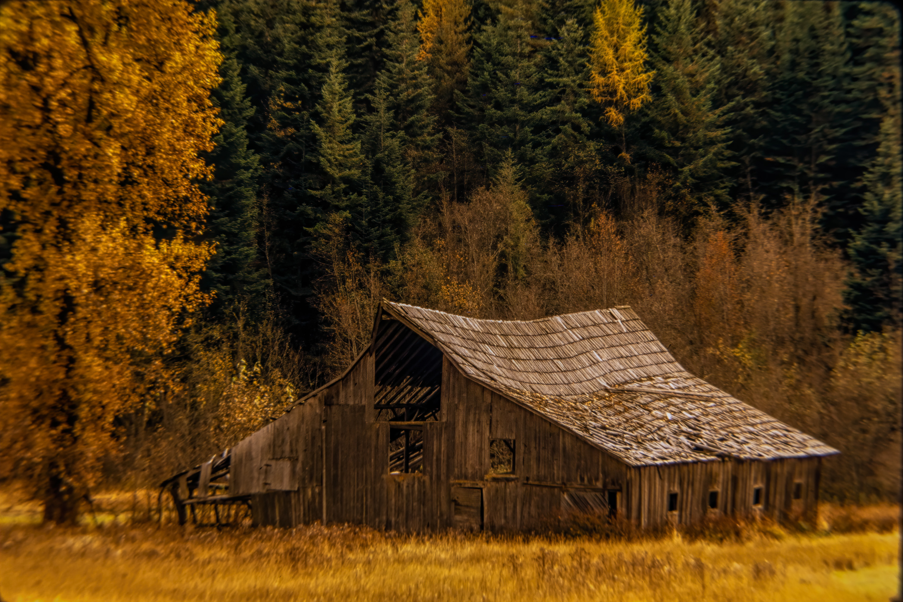 220114-27362-R5 b37.jpg