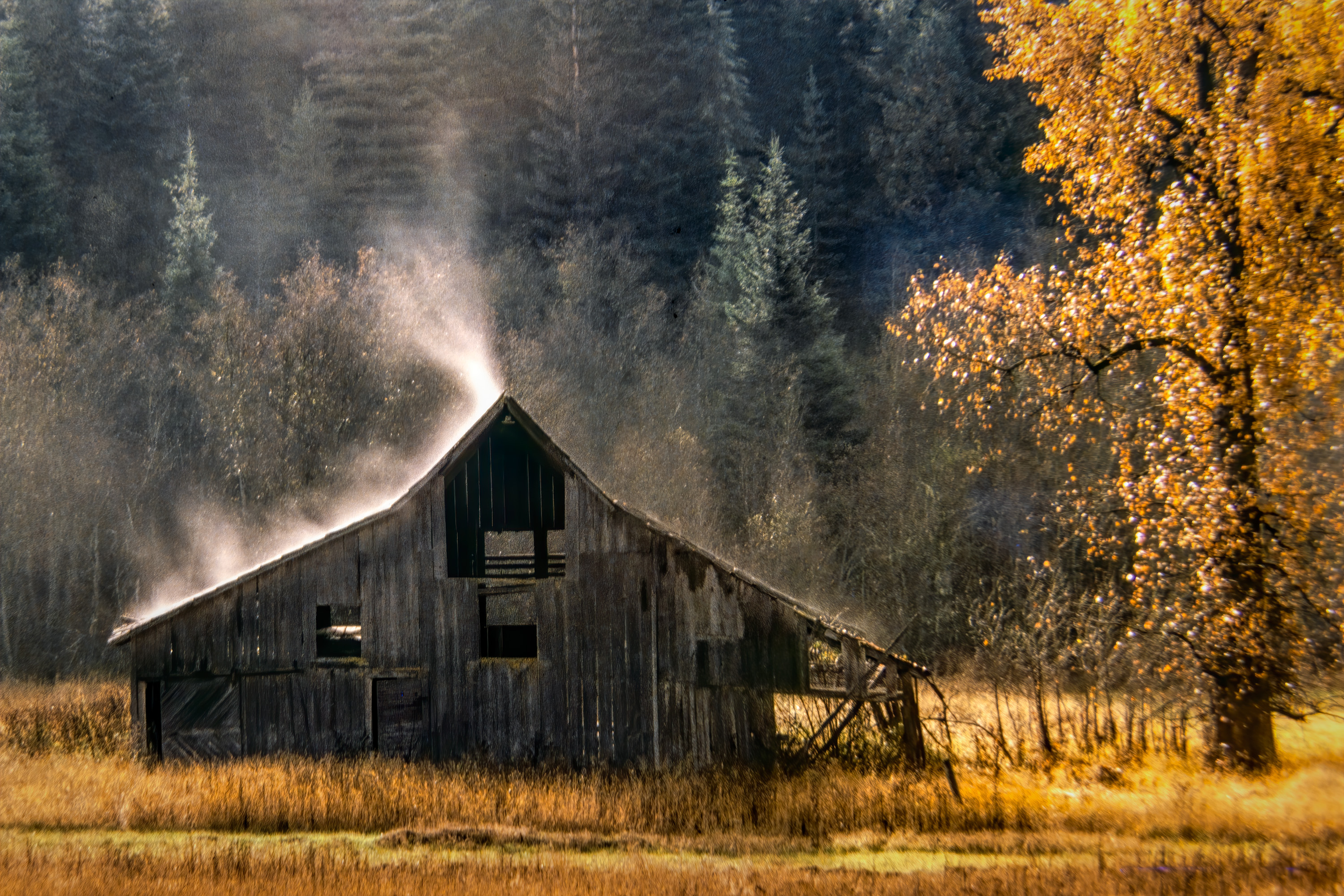 220131-27502-R5.jpg