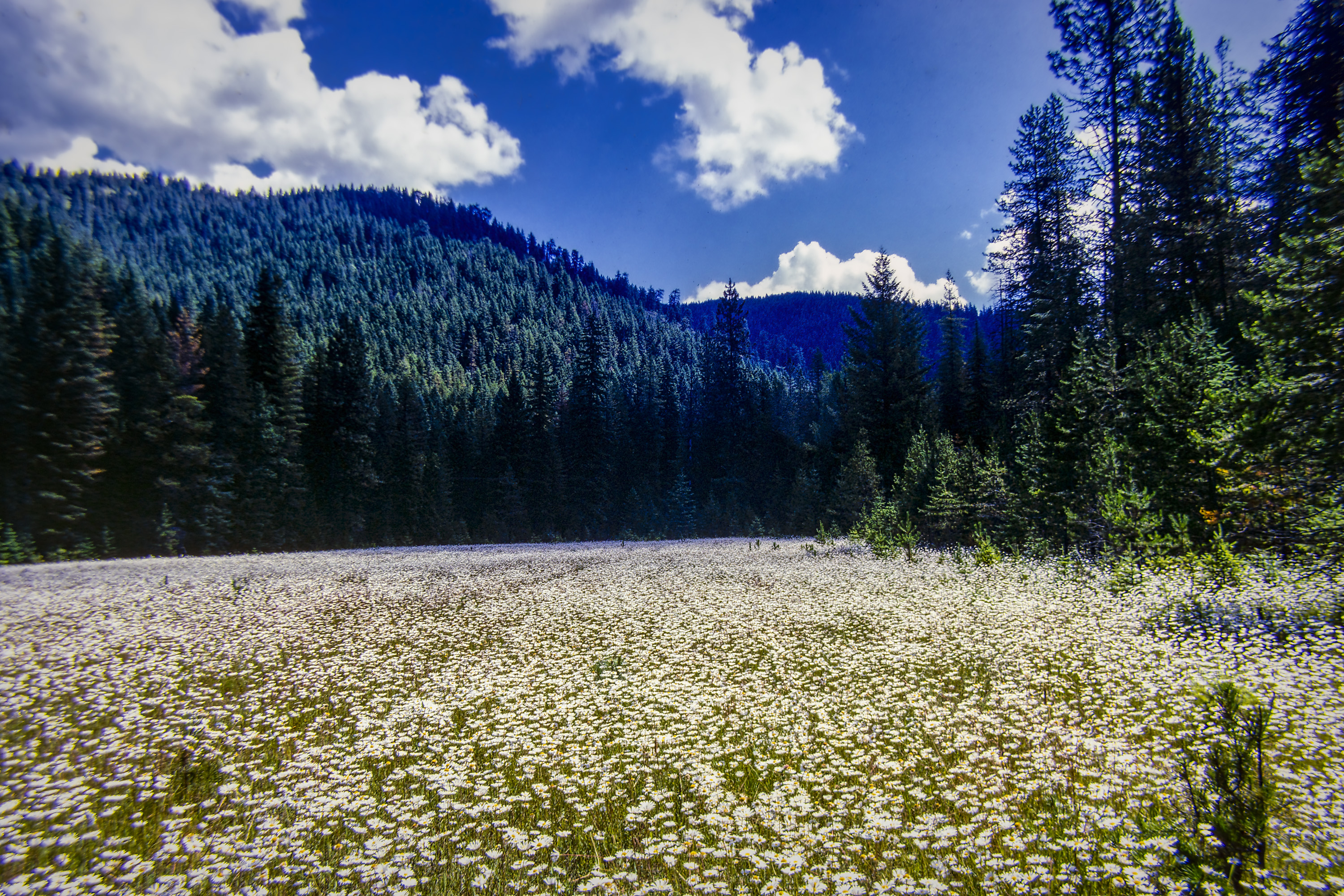 220207-27562-R5.jpg