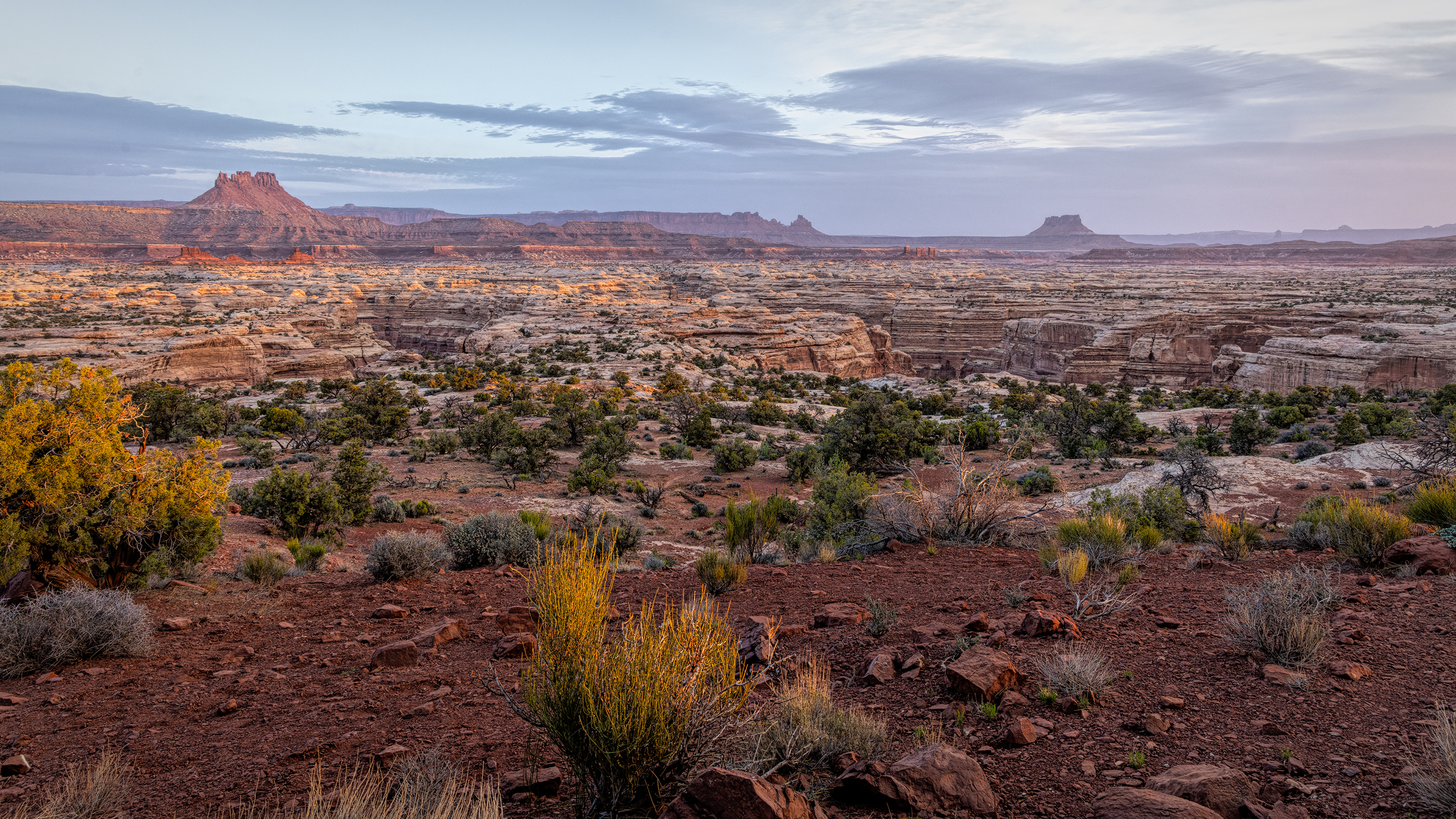 220422-1331-R5.jpg