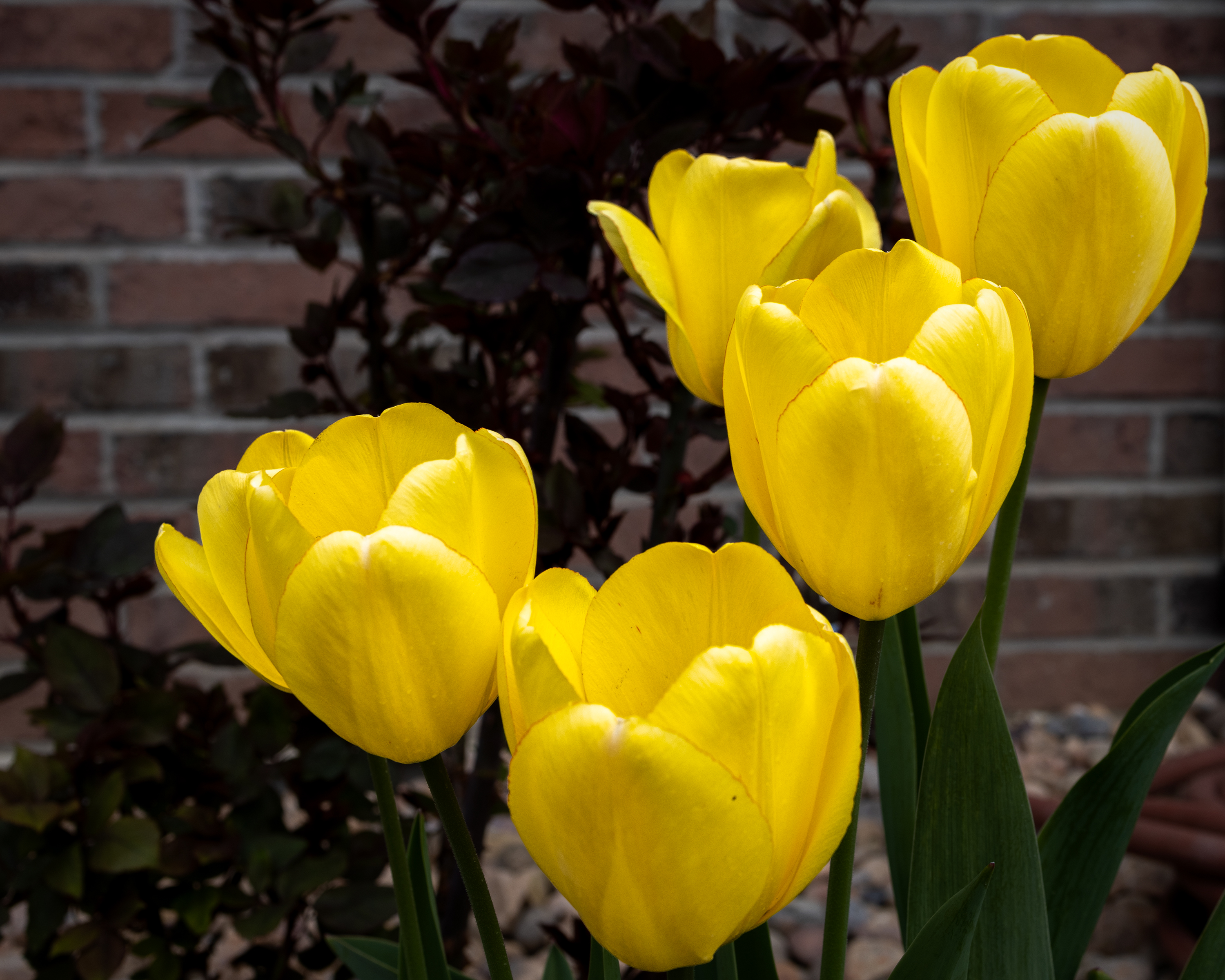 220426-1344-R5.jpg