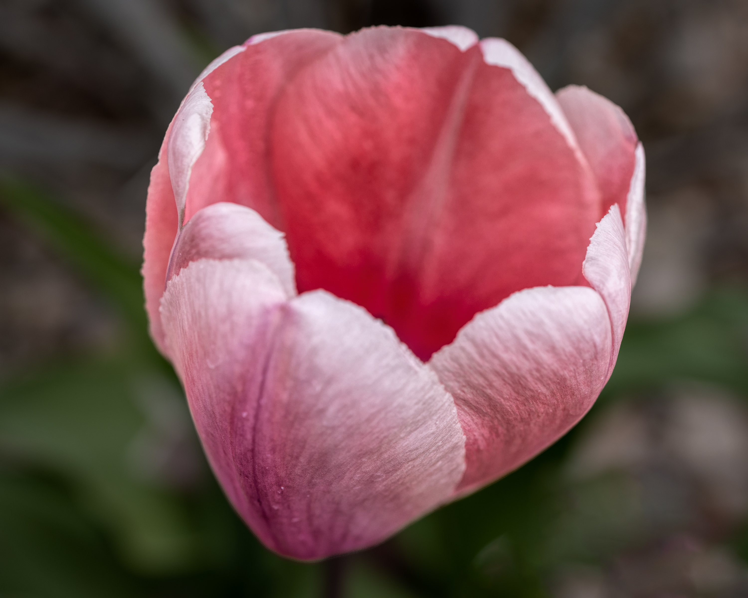 220426-1350-R5.jpg