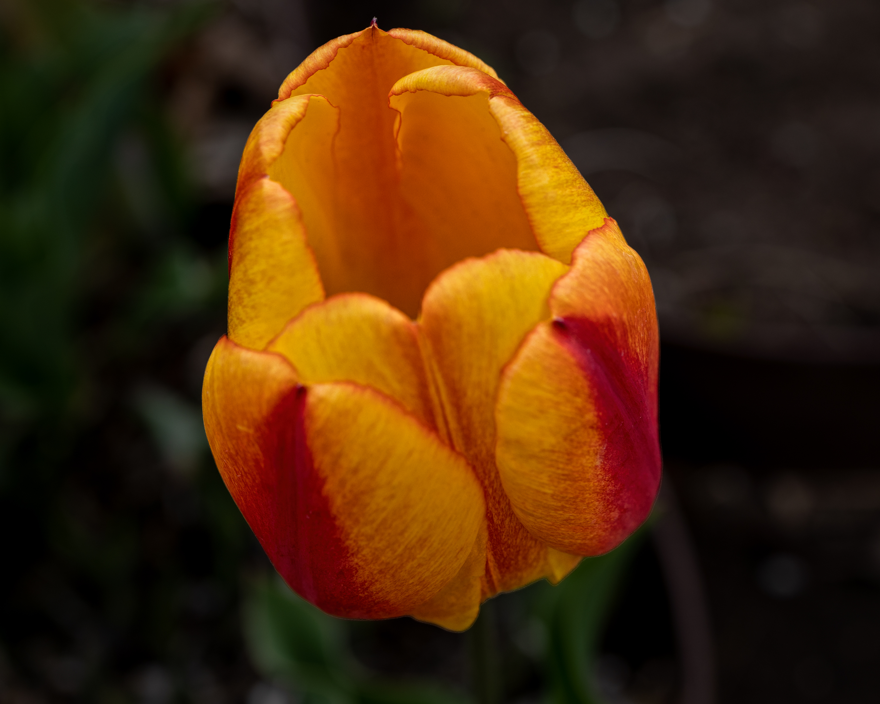 220426-1351-R5.jpg