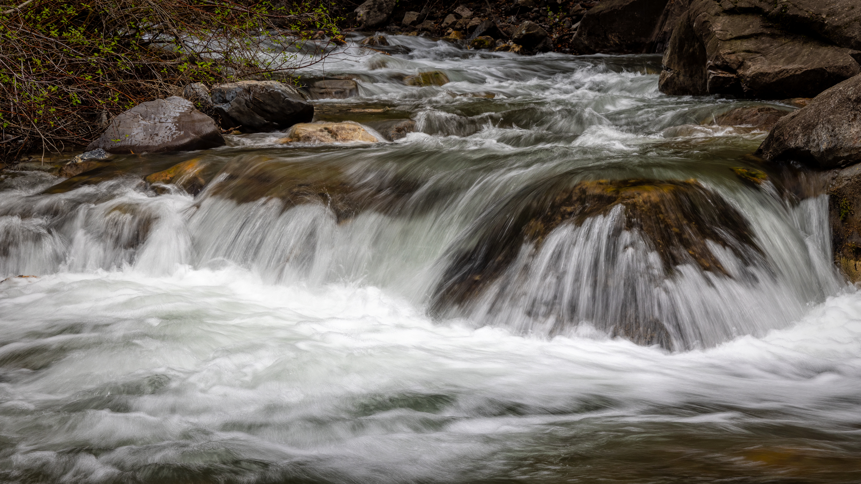 220509-1376-R5.jpg