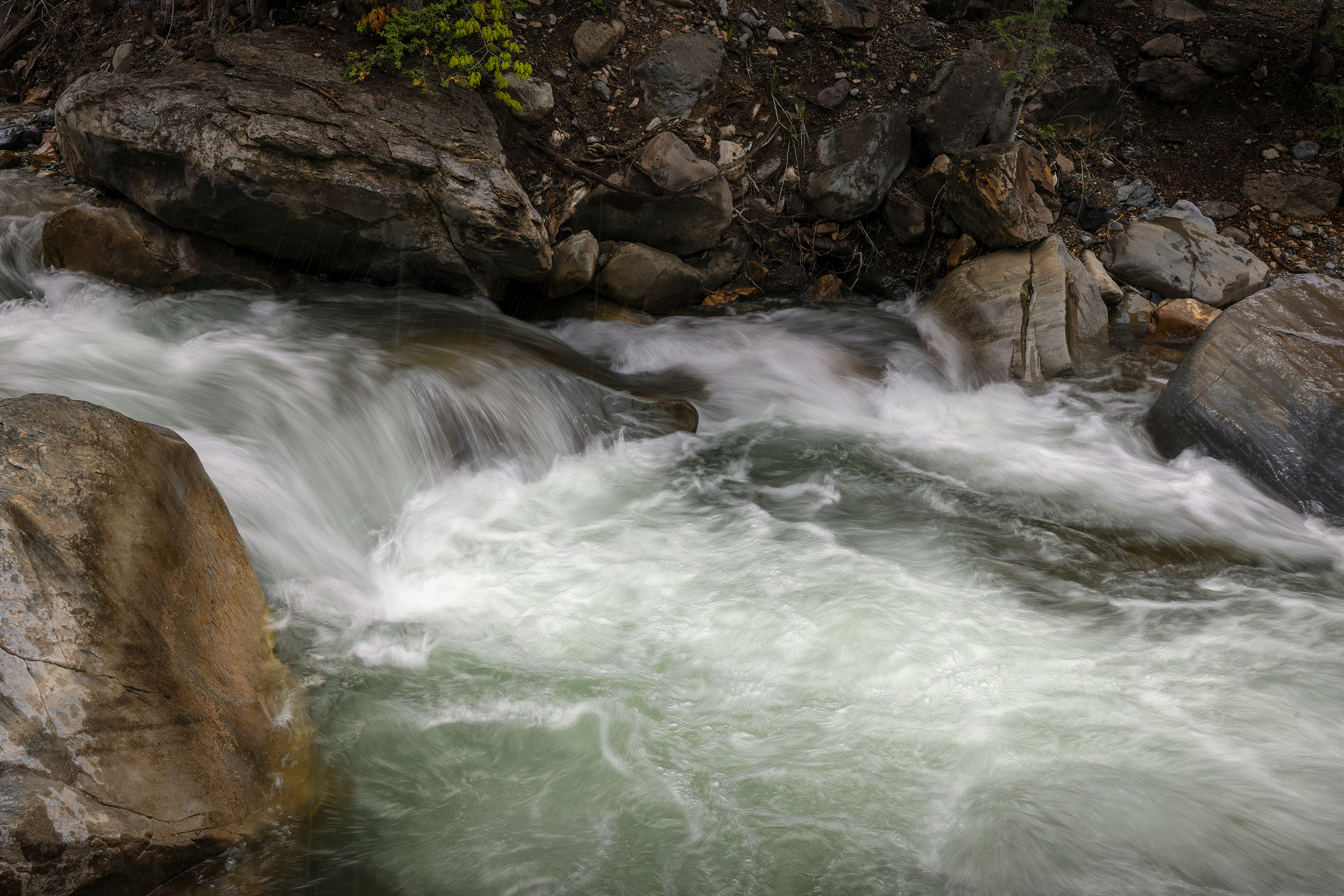 220509-1413-R5.jpg