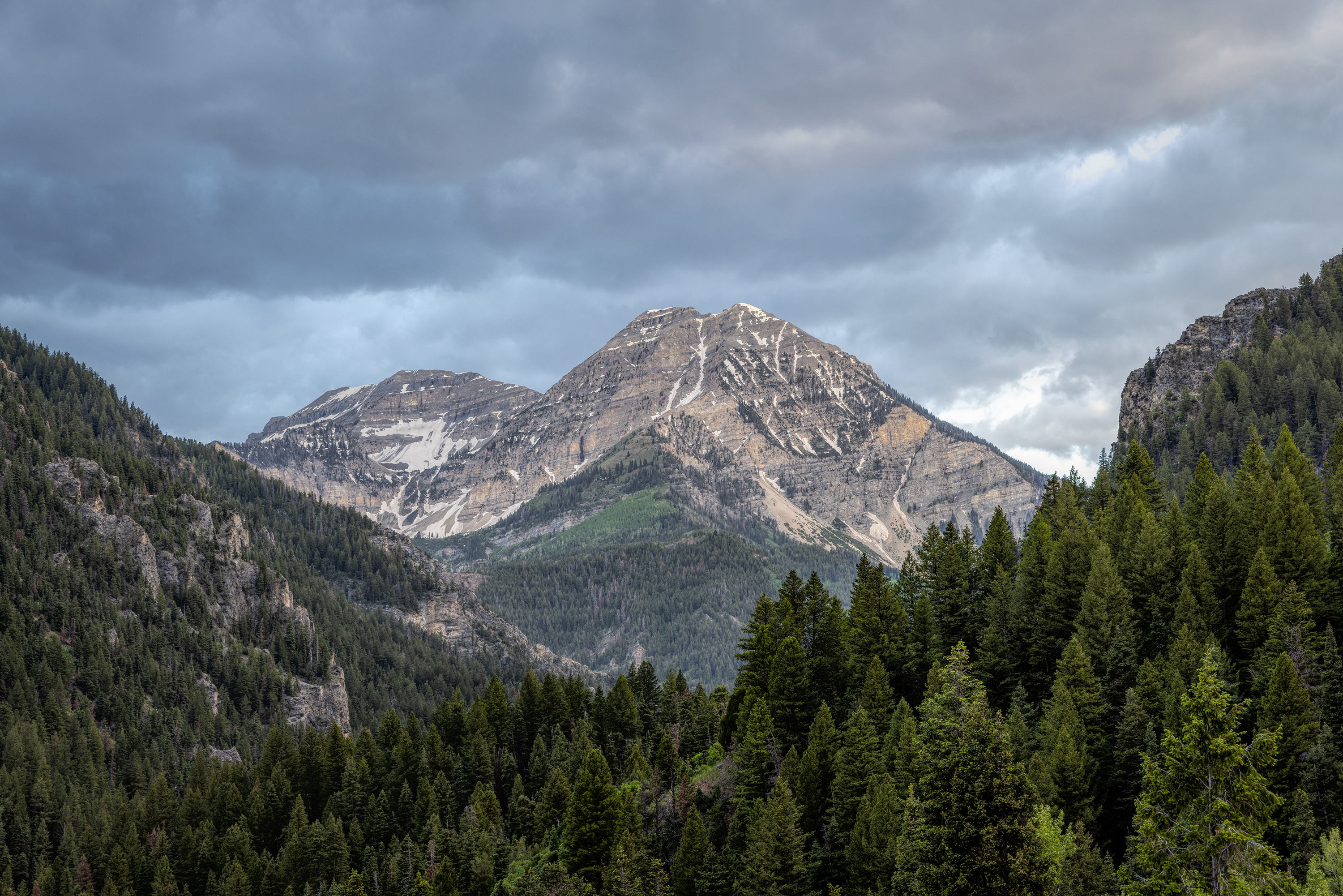 220619-1569-R5.jpg