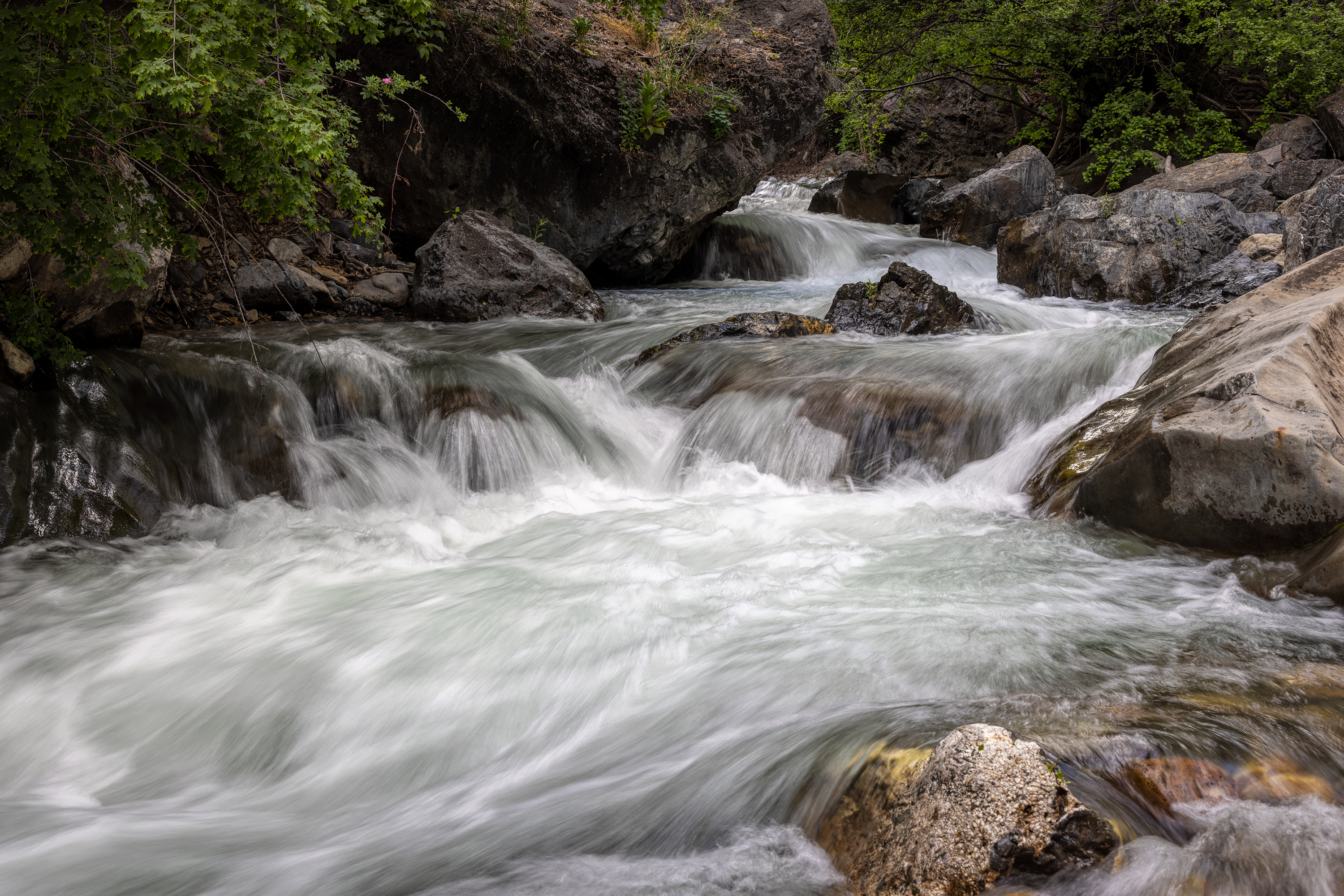 220619-1609-R5.jpg