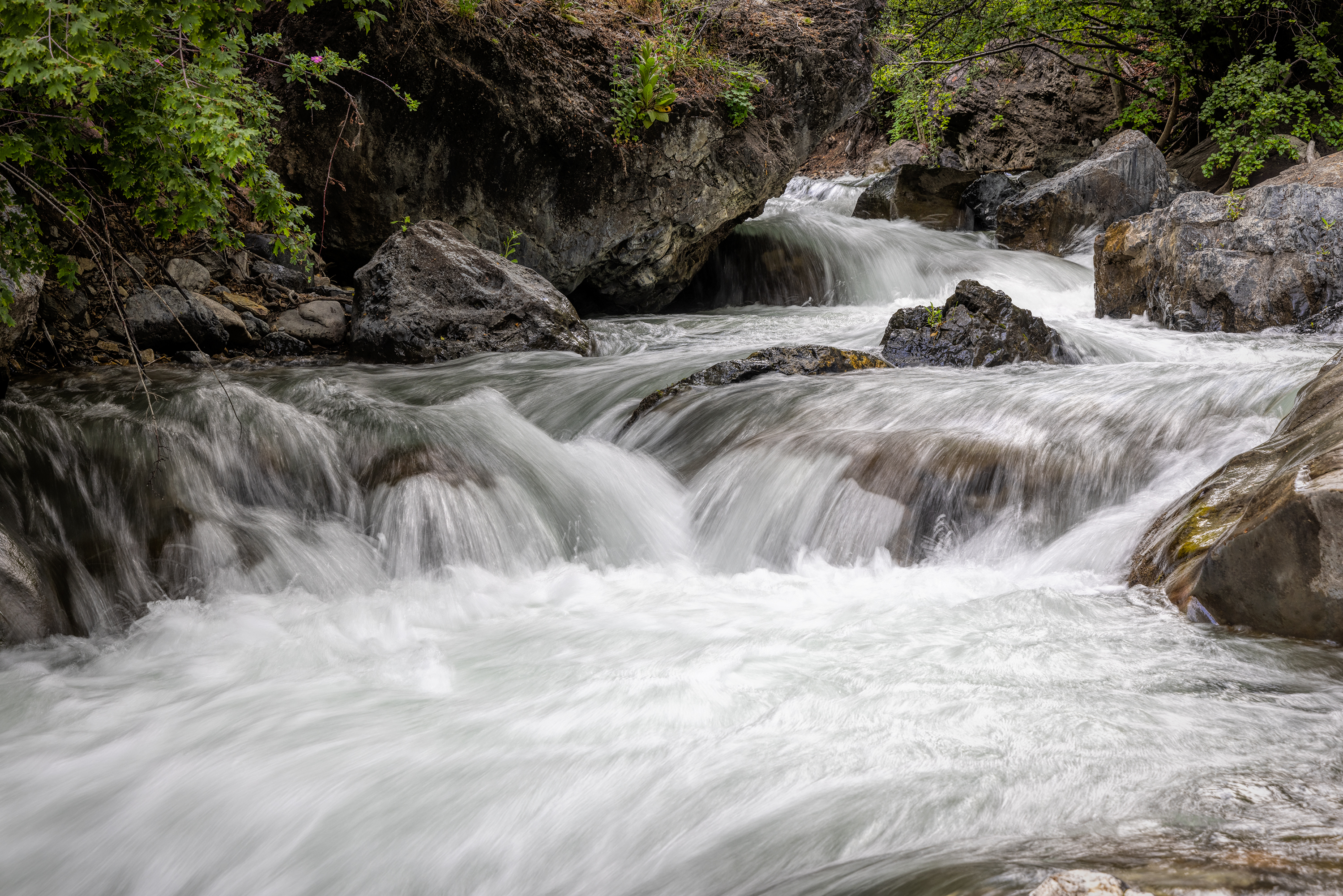 220619-1618-R5.jpg