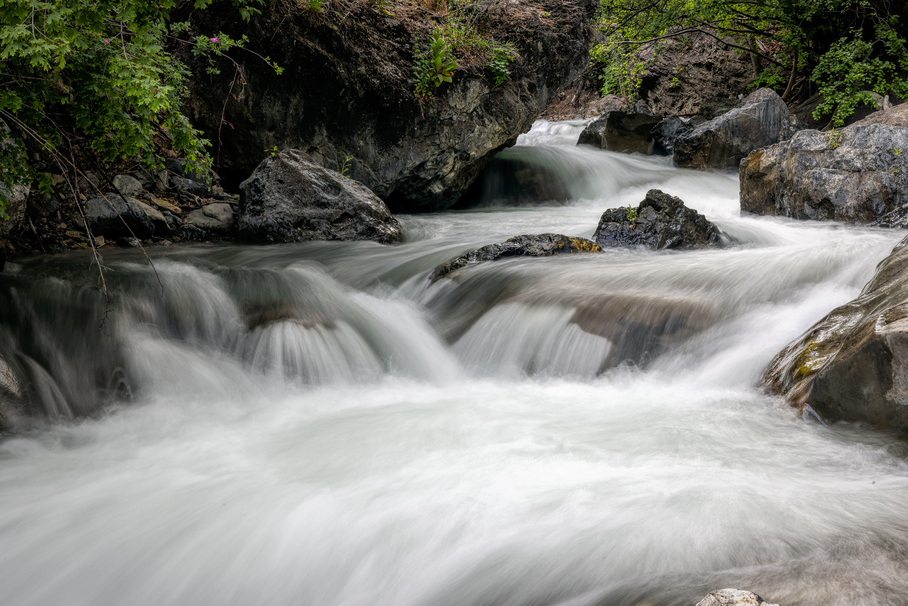 220619-1622-R5.jpg