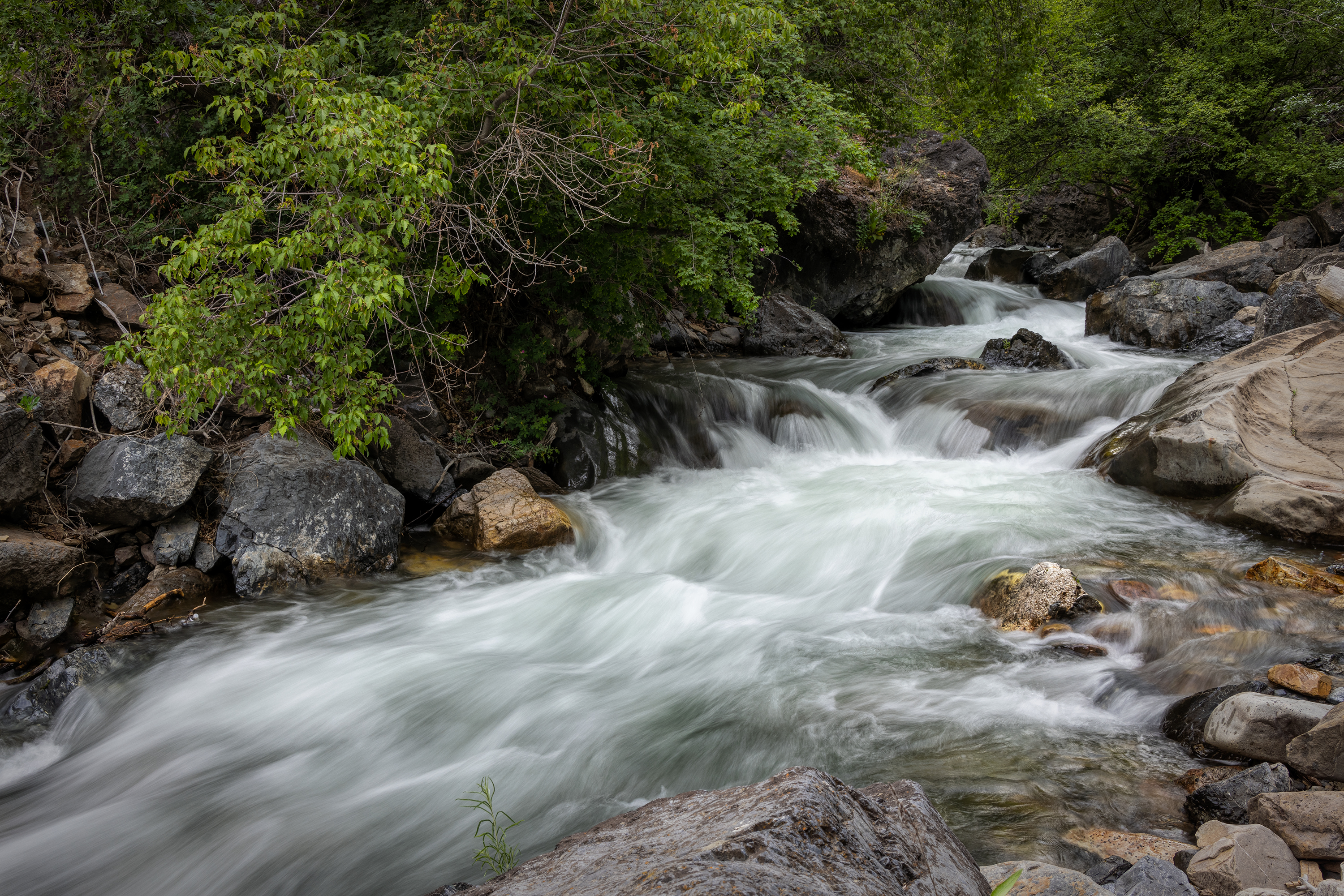 220619-1636-R5.jpg