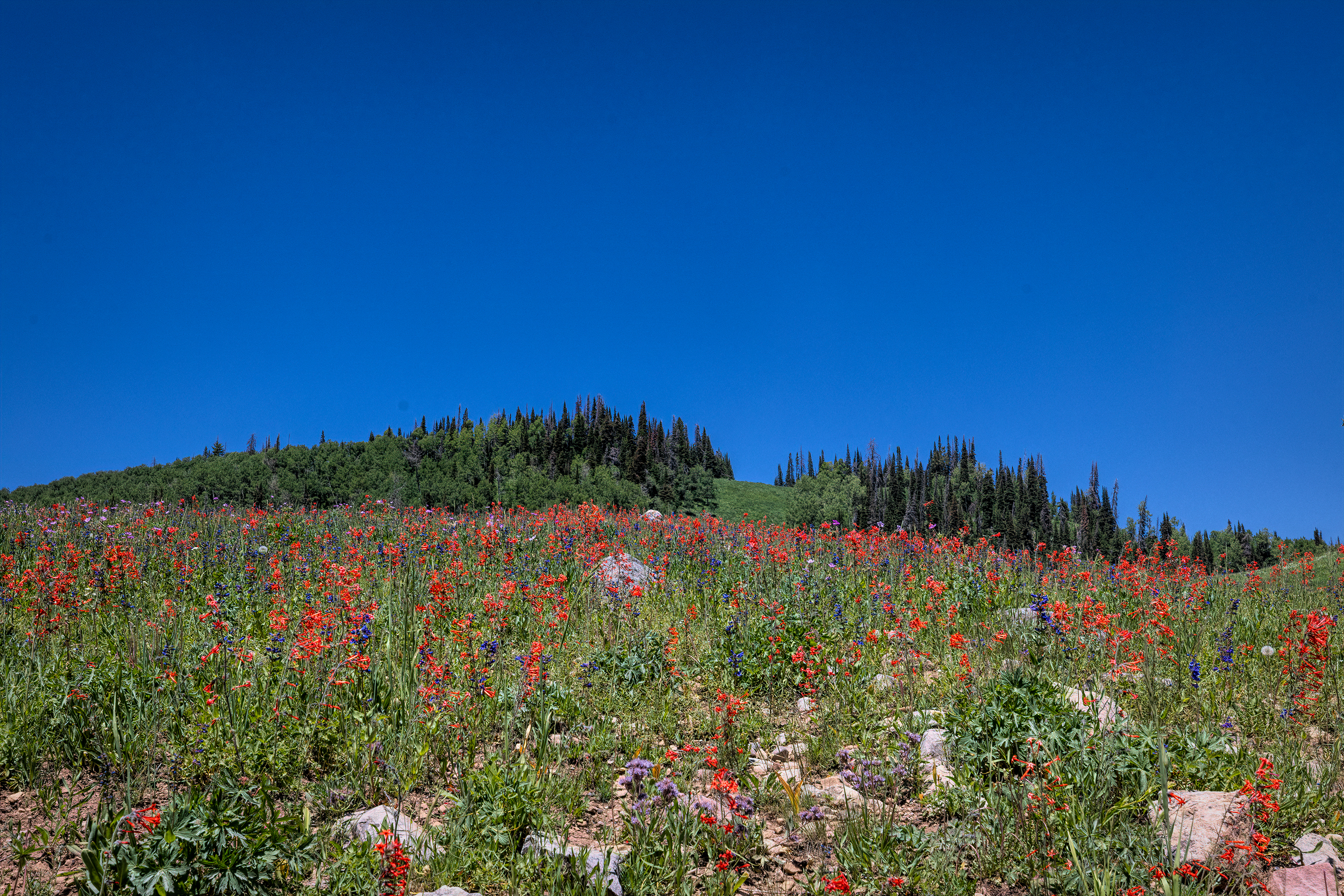 220708-1877-R5.jpg